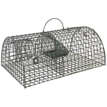 Lebendfalle Ratte metall
