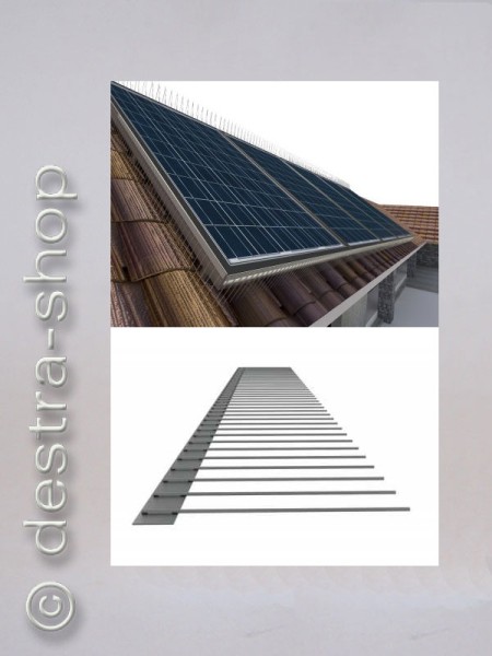 SOLAR 1er 100mm Spitzen