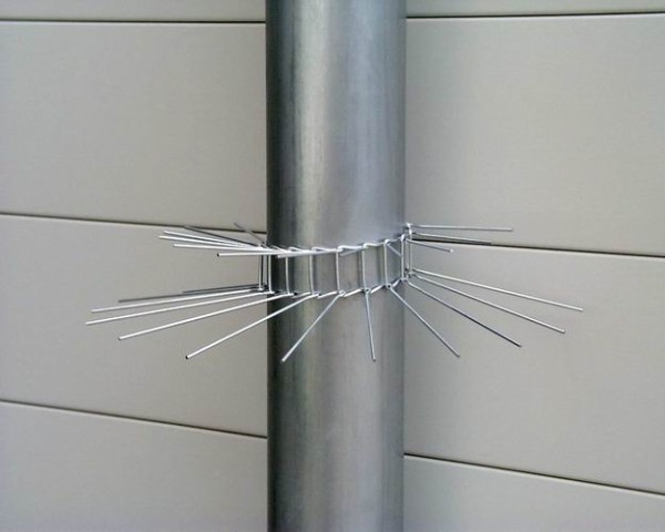 Mardergürtel