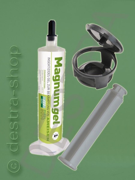 Ameisengel- Set Magnum 