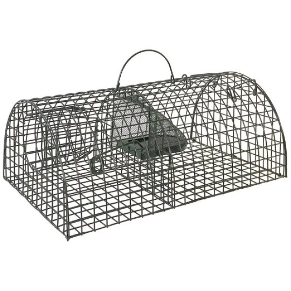 Lebendfalle Ratte metall